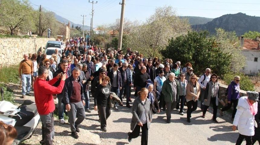 Doğaseverler Badem &Ccedil;i&ccedil;eği İ&ccedil;in Y&uuml;r&uuml;d&uuml;