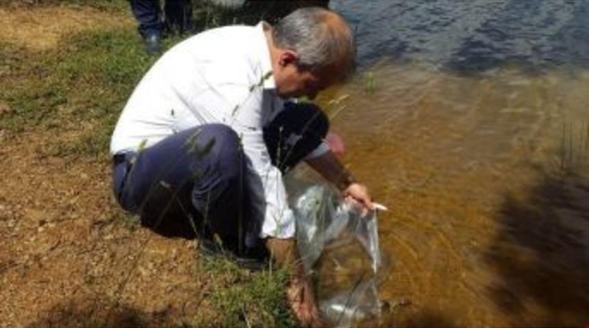 Kaymakam Çiçek: Av Zamanı Ve Yer Yasaklarına Uyulması Büyük Önem Taşıyor