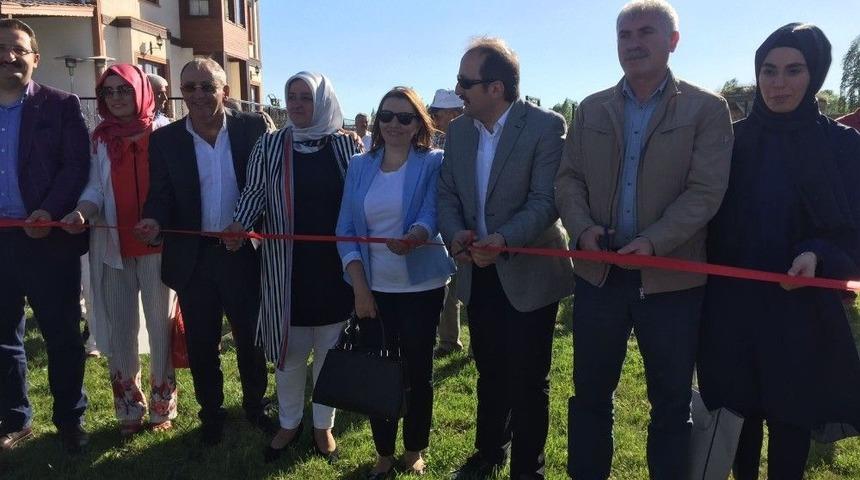 Geleneksel T&uuml;rk Kapıları Ve Tokmakları Beşpınar&rsquo;da Sergilendi