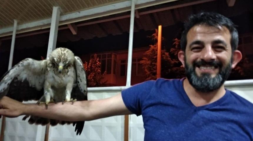 Hasta Halde Bulunan Şah Kartalı Tedavi Altına Alındı