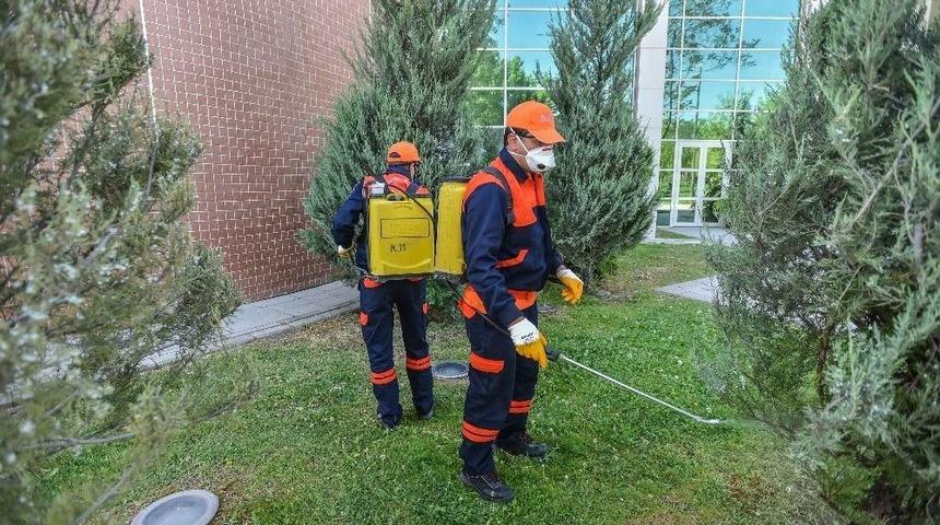 B&uuml;y&uuml;kşehir Haşerelere Savaş A&ccedil;tı