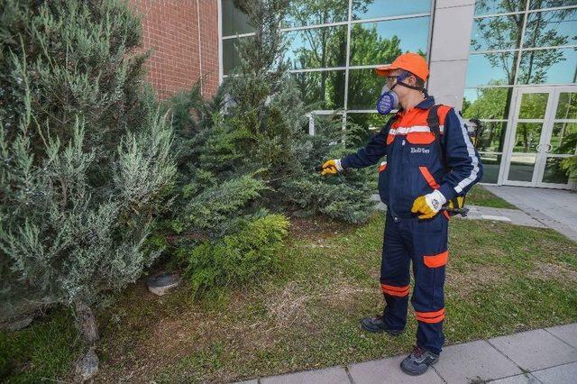 Büyükşehir Haşerelere Savaş Açtı