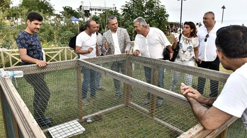 M&uuml;zayedeyle 165 Kilogram Kedi K&ouml;pek Maması Toplandı