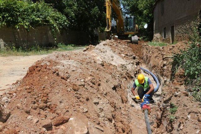 Aski, Yaylalarda Yatırıma Devam Ediyor