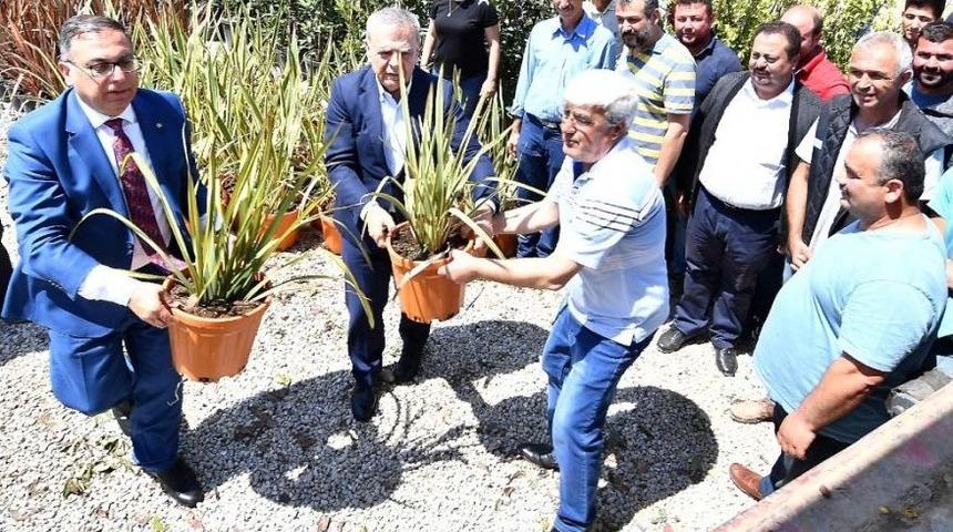 Bayındır&rsquo;dan Hollanda&rsquo;ya &Ccedil;i&ccedil;ek