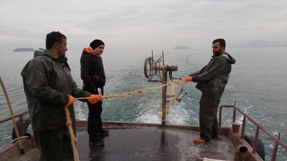 (&ouml;zel Haber) Van G&ouml;l&uuml;&rsquo;nde Yaşayan İnci Kefali Balığı Tescillendi