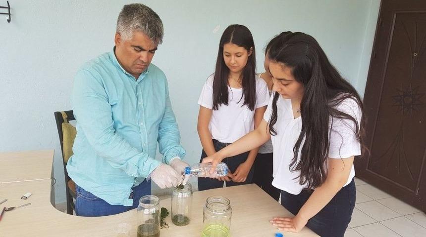 Su Yosunundan Mazot &Uuml;rettiler