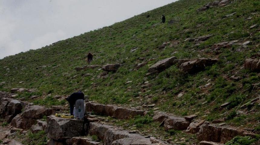 Ter&ouml;rden Temizlenen Kato Dağı Ekmek Kapısı Oldu