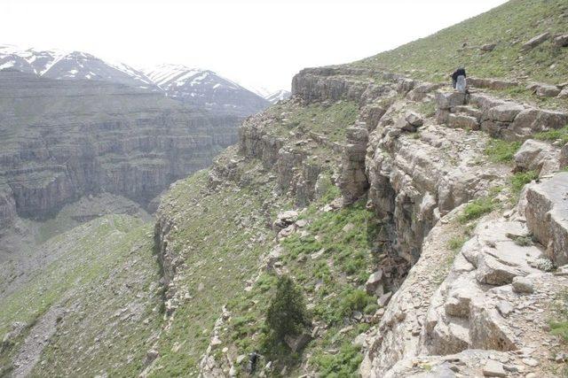 Terörden Temizlenen Kato Dağı Ekmek Kapısı Oldu