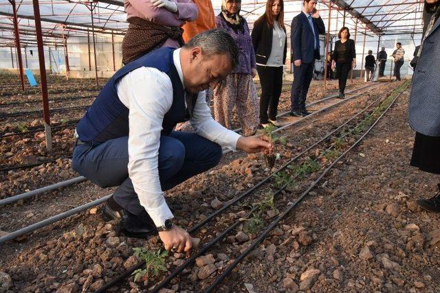 Hortumda Zarar Gören Üreticilere Fide Ve Biyoteknik Malzeme Yardımı