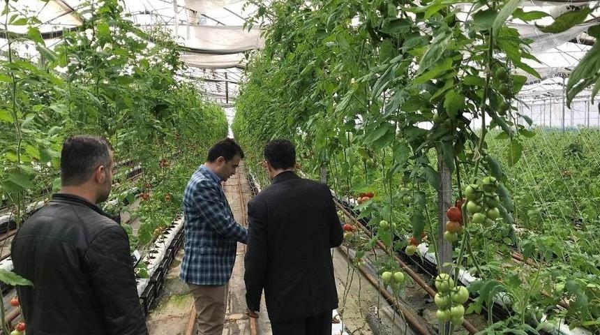 Kaymakam Bilici, Taşlı Dere K&ouml;y&uuml;nde İncelemelerde Bulundu