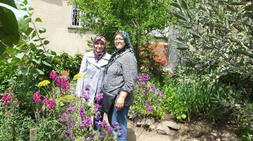 Dutluca&rsquo;da Kıymet Teyze&rsquo;nin &Ccedil;i&ccedil;ek Tutkusu