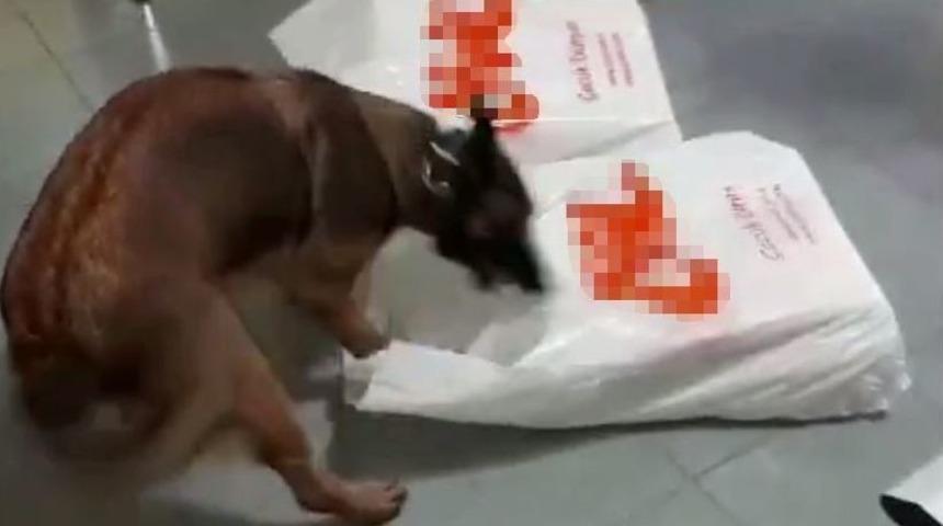 Suudi Arabistan&rsquo;a Bebek Kıyafetleri Arasında Uyuşturucu Sevkiyatı