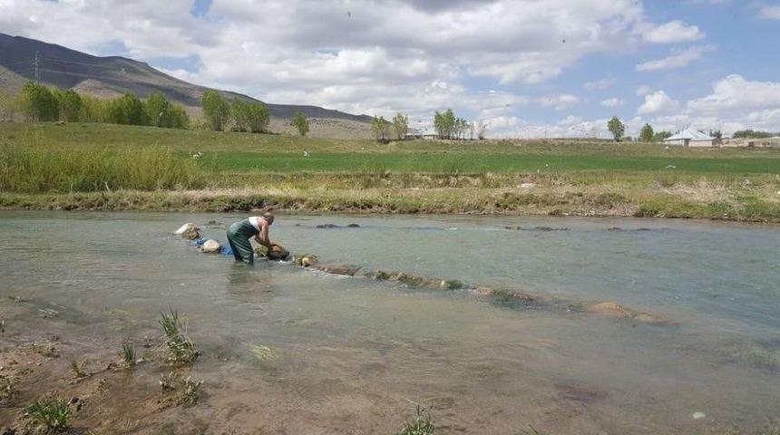 Van&rsquo;da 6,5 Ton Ka&ccedil;ak Avlanmış İnci Kefali Ele Ge&ccedil;irildi