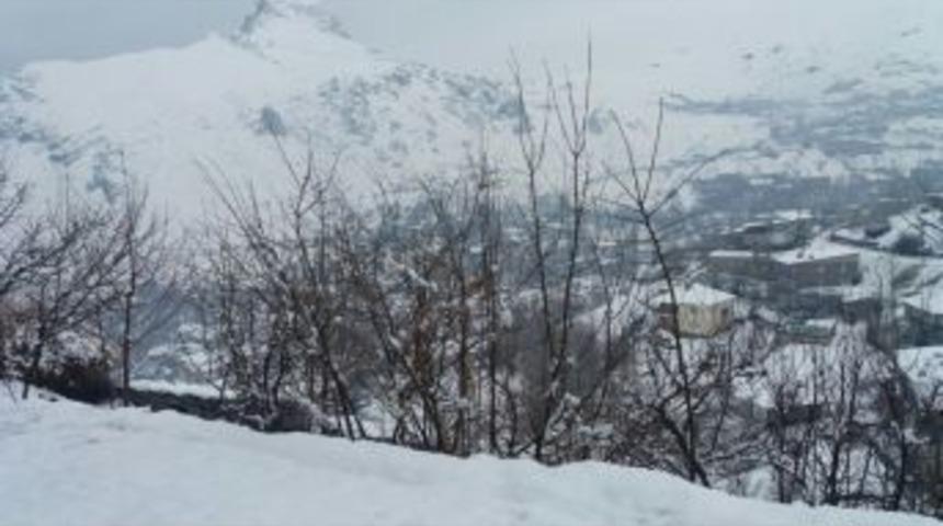Hakkari&rsquo;de Kar Yağışı Hayatı Olumsuz Etkiledi