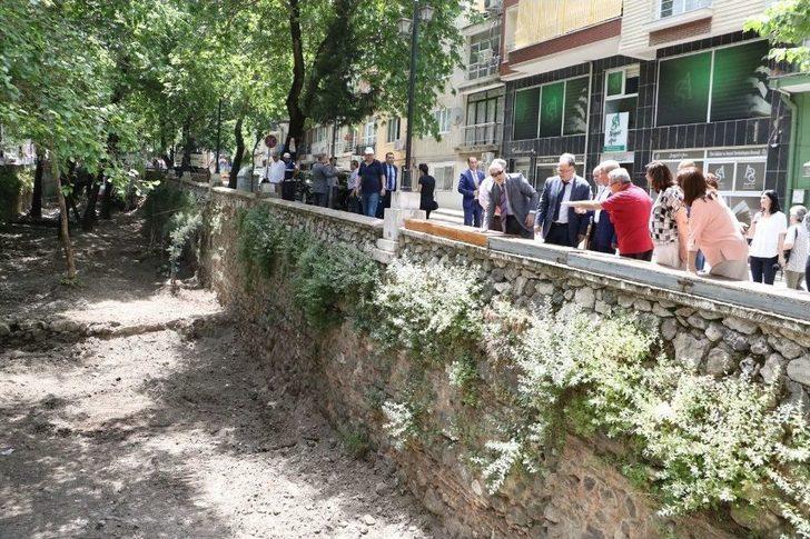 Çaybaşı Deresi Eski Günlerine Kavuşuyor G4