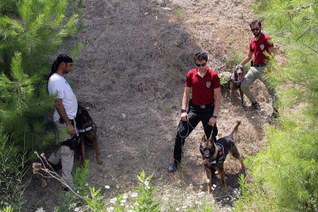 Kayıp Üniversiteli Gencin Cesedini Kadavra Köpeği 