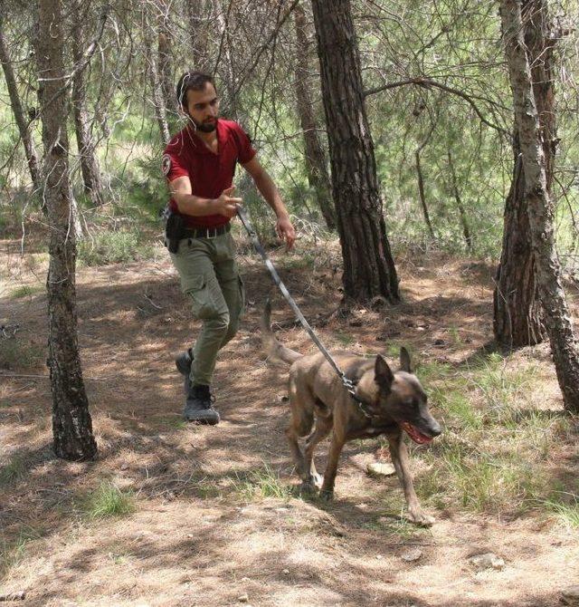 Kayıp Üniversiteli Gencin Cesedini Kadavra Köpeği 