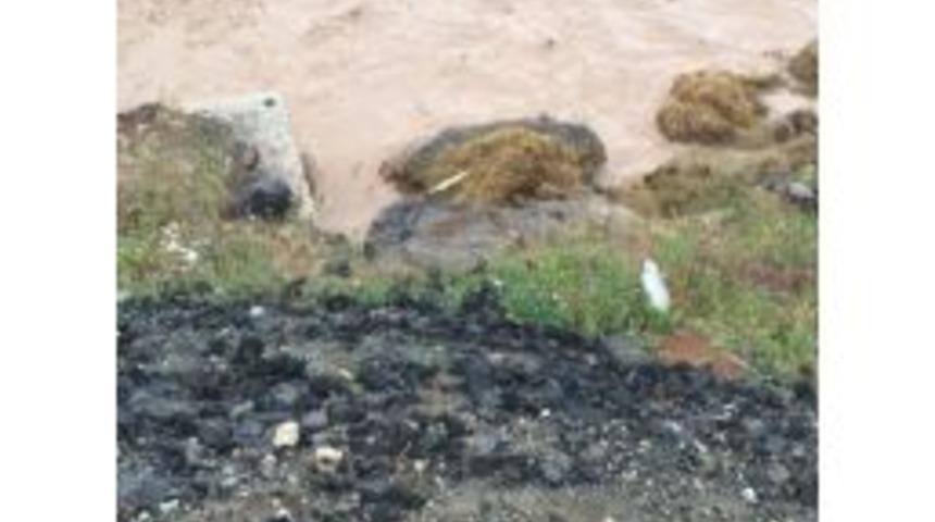 Tuzluca Sağanak Yağış Etkili Oldu