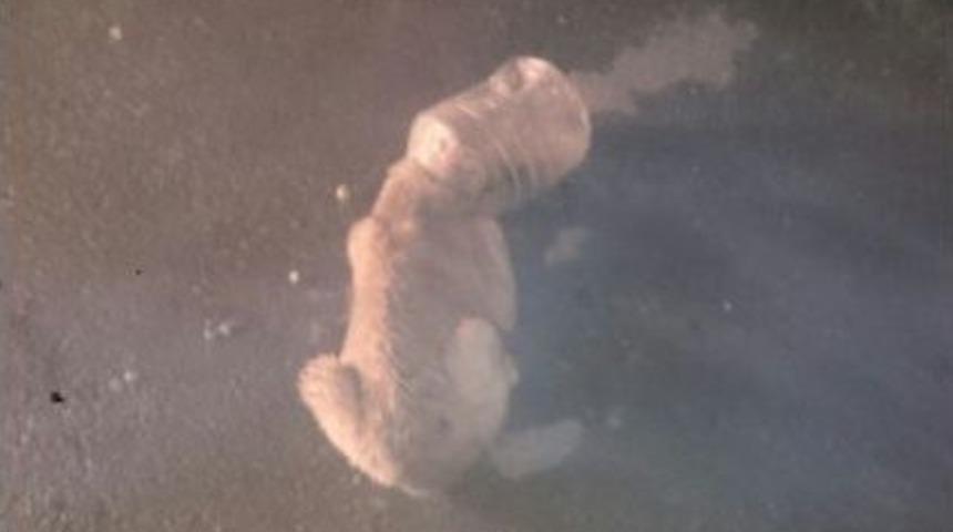 Merakı Az Kalsın Başına İş A&ccedil;acaktı