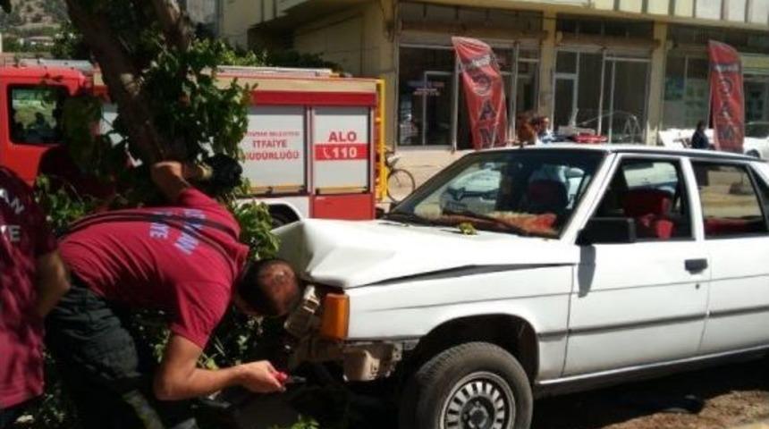 Ref&uuml;je &Ccedil;ıkan Otomobil Ağaca &Ccedil;arptı