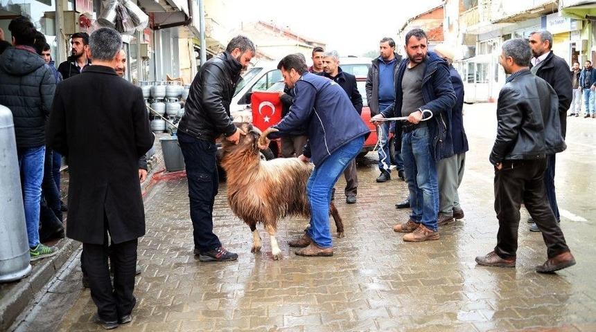 Mehmet&ccedil;ik İ&ccedil;in Kurban Kesildi