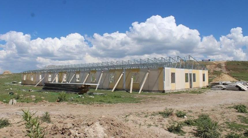 &Ccedil;aldıran&rsquo;da Sokak Hayvanları İ&ccedil;in Barınak