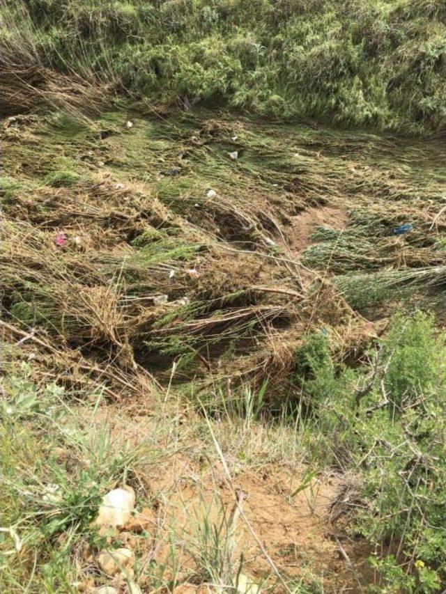 Gercüş’te Şiddetli Yağış Ekinlere Zarar Verdi