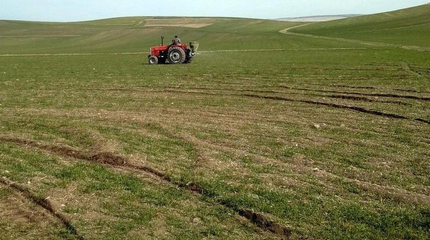 Yozgatlı &Ccedil;ift&ccedil;iler Ekinlerinin G&uuml;breleme &Ccedil;alışmalarına Başladı