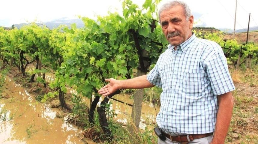 Sarıg&ouml;l&rsquo;de Bazı Bağlar Doludan Zarar G&ouml;rd&uuml;