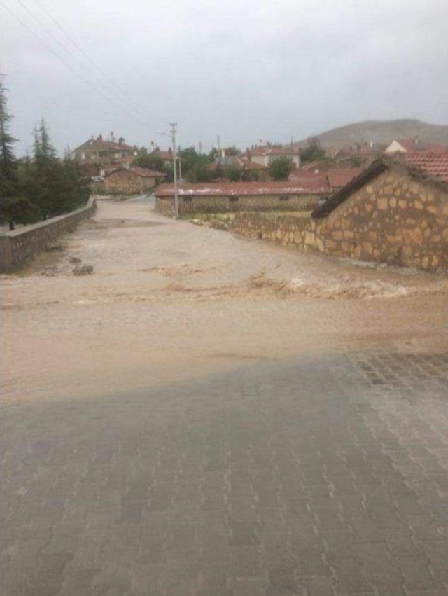 Afyonkarahisar Da Selde Onlarca Hayvan Telef Oldu