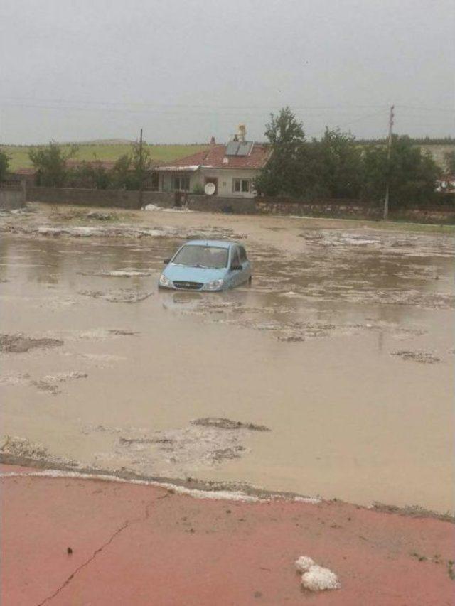 Afyonkarahisar Da Selde Onlarca Hayvan Telef Oldu