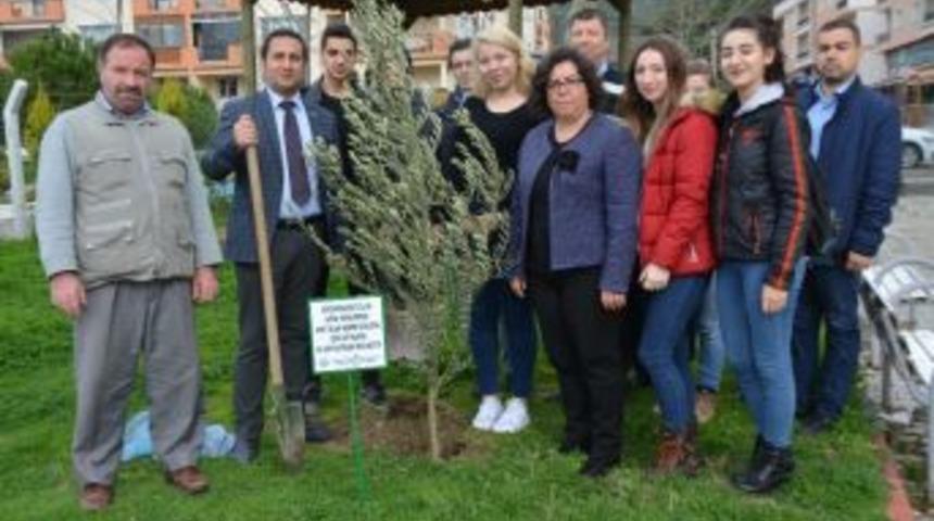 S&ouml;ke&rsquo;de Afrin Şehitlerinin Anısına Zeytin Fidanı Dikildi
