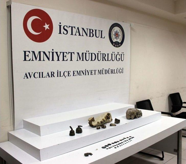 Avcılar’da Roma Ve Bizans Dönemine Ait Sikkeler Ve Dinozor Fosilleri Ele Geçirildi G1