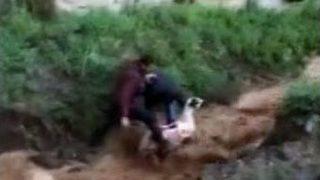 Sele Kapılan Koyunun Kurtarılma Anı Kamerada