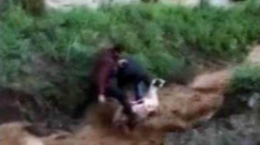 Sele Kapılan Koyunun Kurtarılma Anı Kamerada