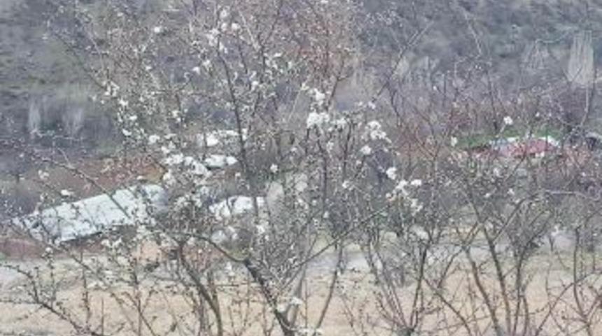 &Ccedil;emişgezek&rsquo;te Badem Ağa&ccedil;ları &Ccedil;i&ccedil;ek A&ccedil;tı