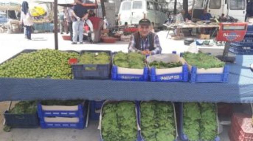 Asma Yaprağının Kilosu 3 Tl&rsquo;ye Kadar D&uuml;şt&uuml;