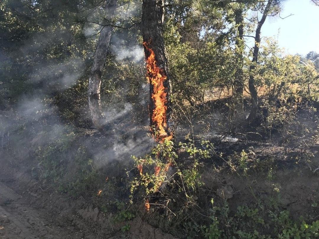 Bursa&rsquo;da 70 D&ouml;n&uuml;m Arpa Ve Buğday Ekili Alan Yandı