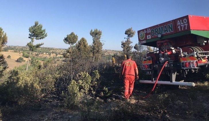 Bursa’da 70 Dönüm Arpa Ve Buğday Ekili Alan Yandı G3