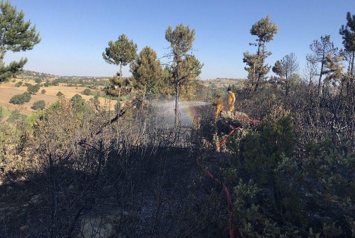 Bursa’da 70 Dönüm Arpa Ve Buğday Ekili Alan Yandı G4