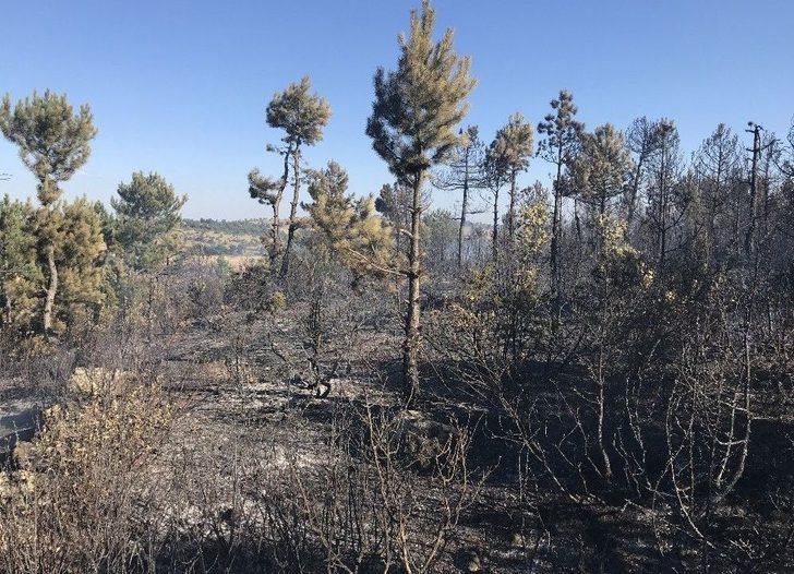 Bursa’da 70 Dönüm Arpa Ve Buğday Ekili Alan Yandı G5