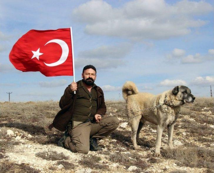 Kangal Köpekleri Zeytin Dalı Harekatı’na Hazır G1