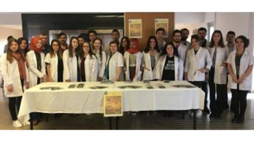 Tıp &Ouml;ğrencileri, Kurdukları Stantta G&uuml;neşin Yarar Ve Zararlarını Anlattılar