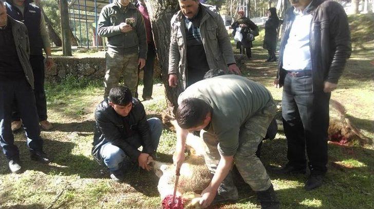 Sivil Toplum Örgütleri Sınırın Sıfır Noktasına Gitti G1