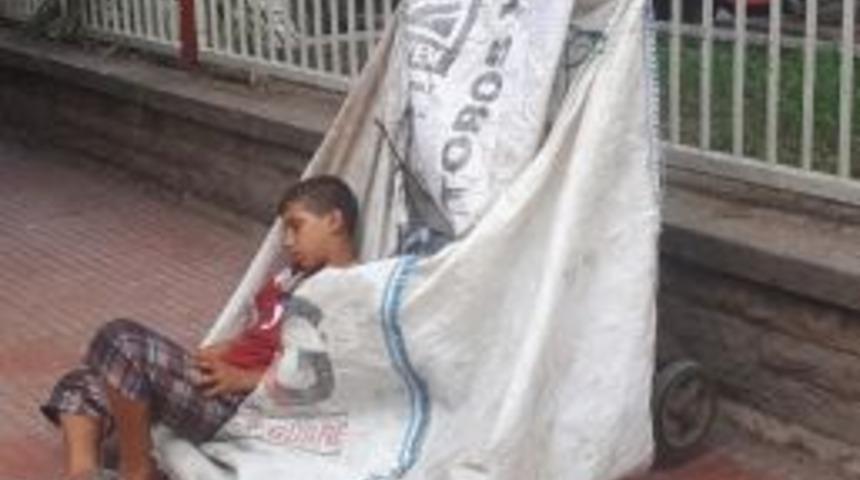 Sıcaktan Yorgun Düşen Kağıt Toplayıcısı Küçük Çocuk El Arabasında Uyuya Kaldı