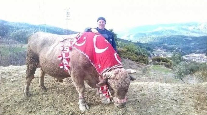 Germencik&rsquo;te Dağyeni Festivali Hazırlıkları S&uuml;r&uuml;yor