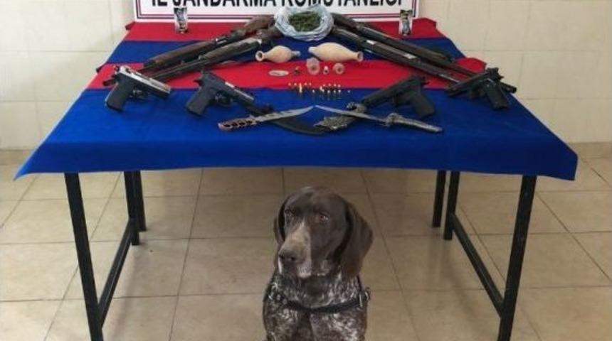 Jandarmadan Silah Ka&ccedil;ak&ccedil;ılığı Operasyonu: 10 G&ouml;zaltı