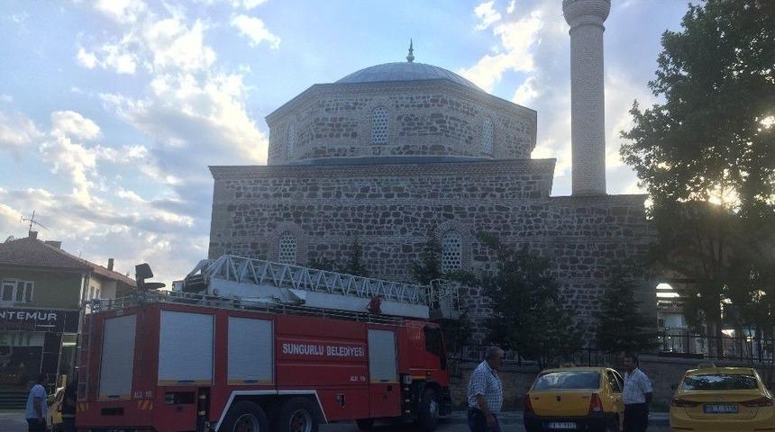 Yavru Leyleği İtfaiye Kurtardı