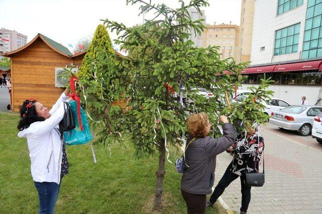 Küçükçekmece’de Hıdırellez Coşkusu